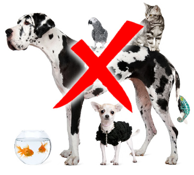 Biosecurity - import of live animals