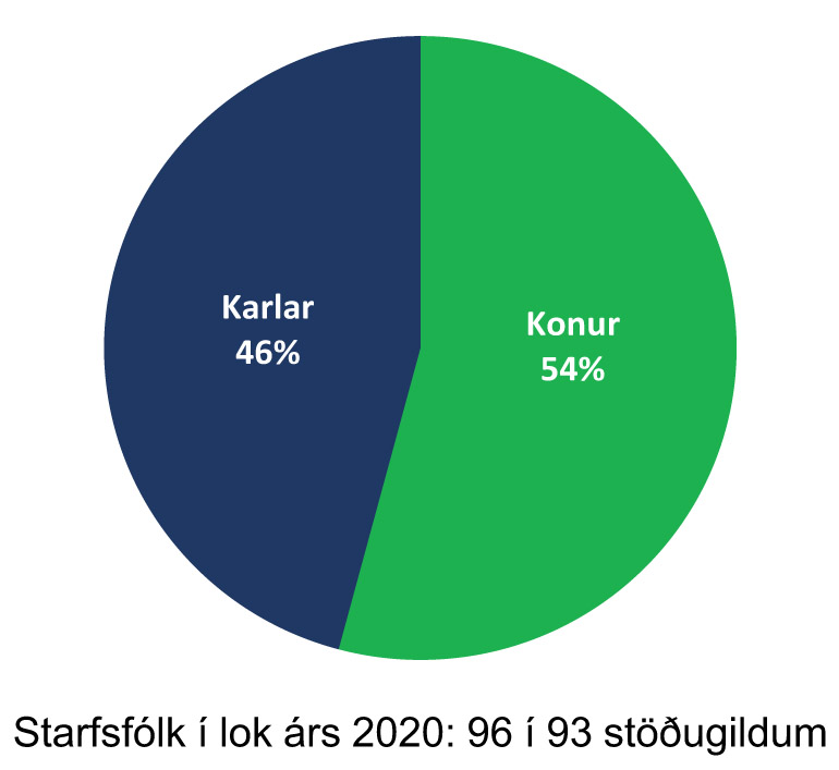 Mannauður 2020